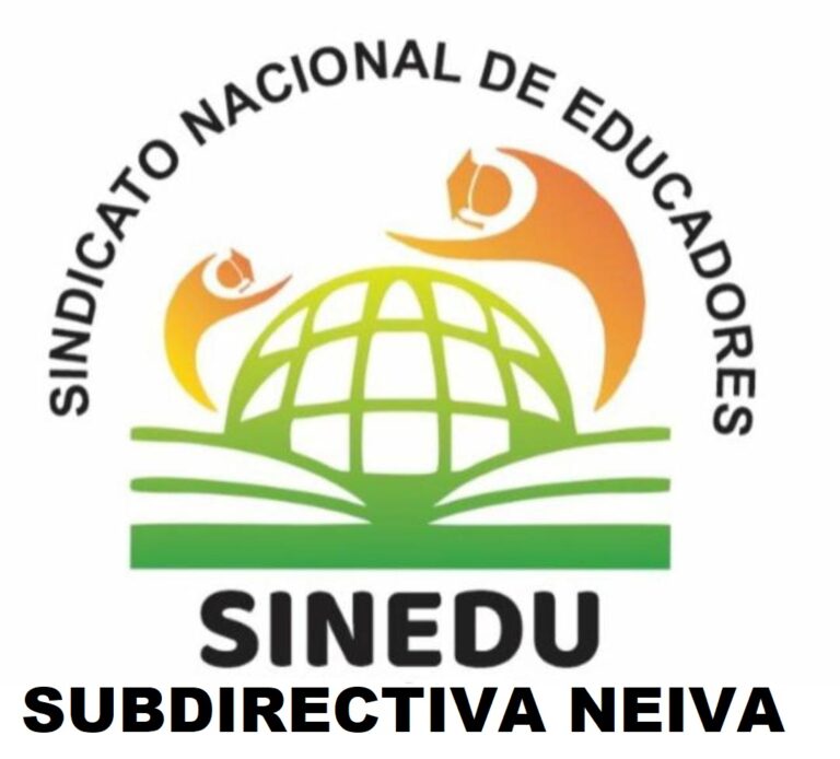 ¿NACE SINEDU? SINDICALISMO DEL MAGISTERIO PROVISIONAL