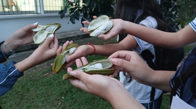 Maestra que siembra: Amor, Ternura y, que luego recoge, excelentes frutos de sus estudiantes.