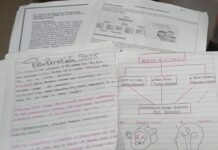 Sombras en la Educación y Grama en el Aula.