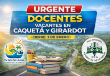 Oportunidad laboral: buscan docentes en provisionalidad para arrancar el año escolar